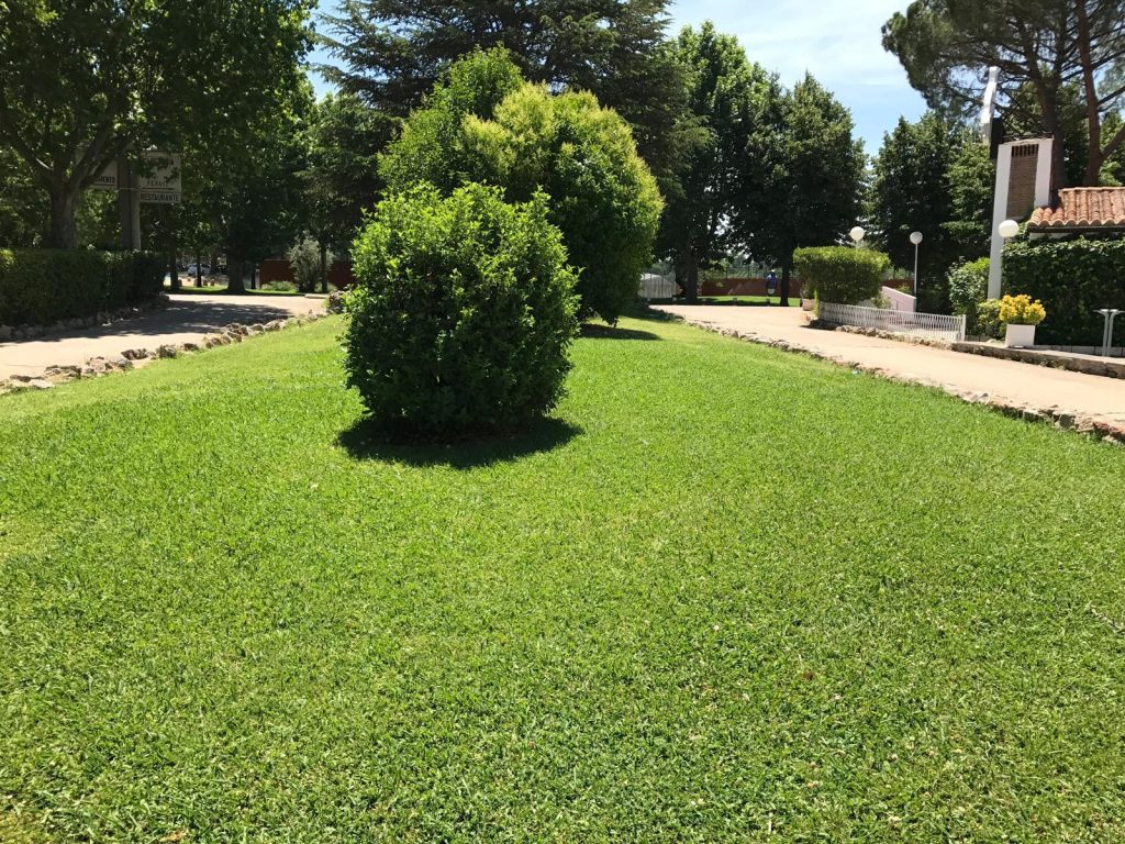 Jardín celebraciones
